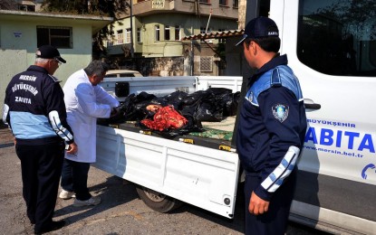 Mersin’de 200 kg. At Eti Ele Geçirildi