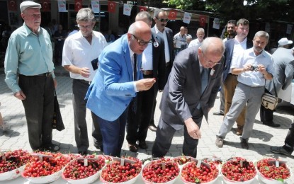 Tekirdağ Kiraz Yarışması’nda kazananlar belli oldu