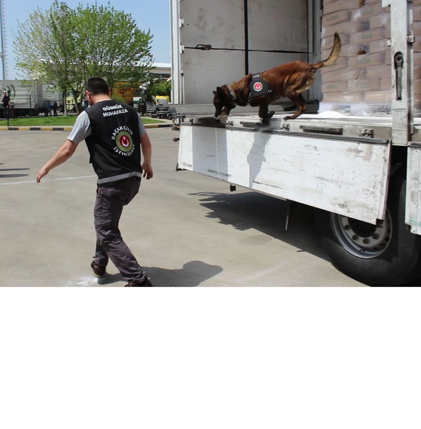 hamzabeyli eroin.png1