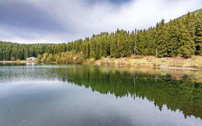 Danıştay’ın Cerattepe kararı üzüntü verici