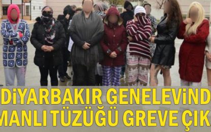 Diyarbakır genelevinde Osmanlı tüzüğü greve çıkardı